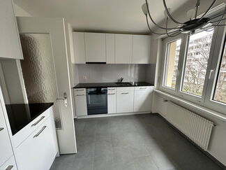 Einbau einer Schweizerküche (Küchenfront und Sideboard)